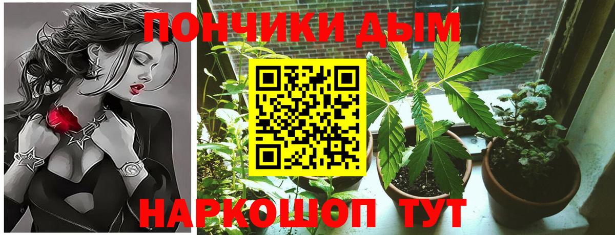 Бошки Шишки SATIVA & INDICA Котовск